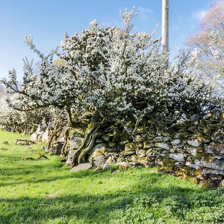 5 Ceirnioge Cottages Betws-y-Coed Luaran gambar