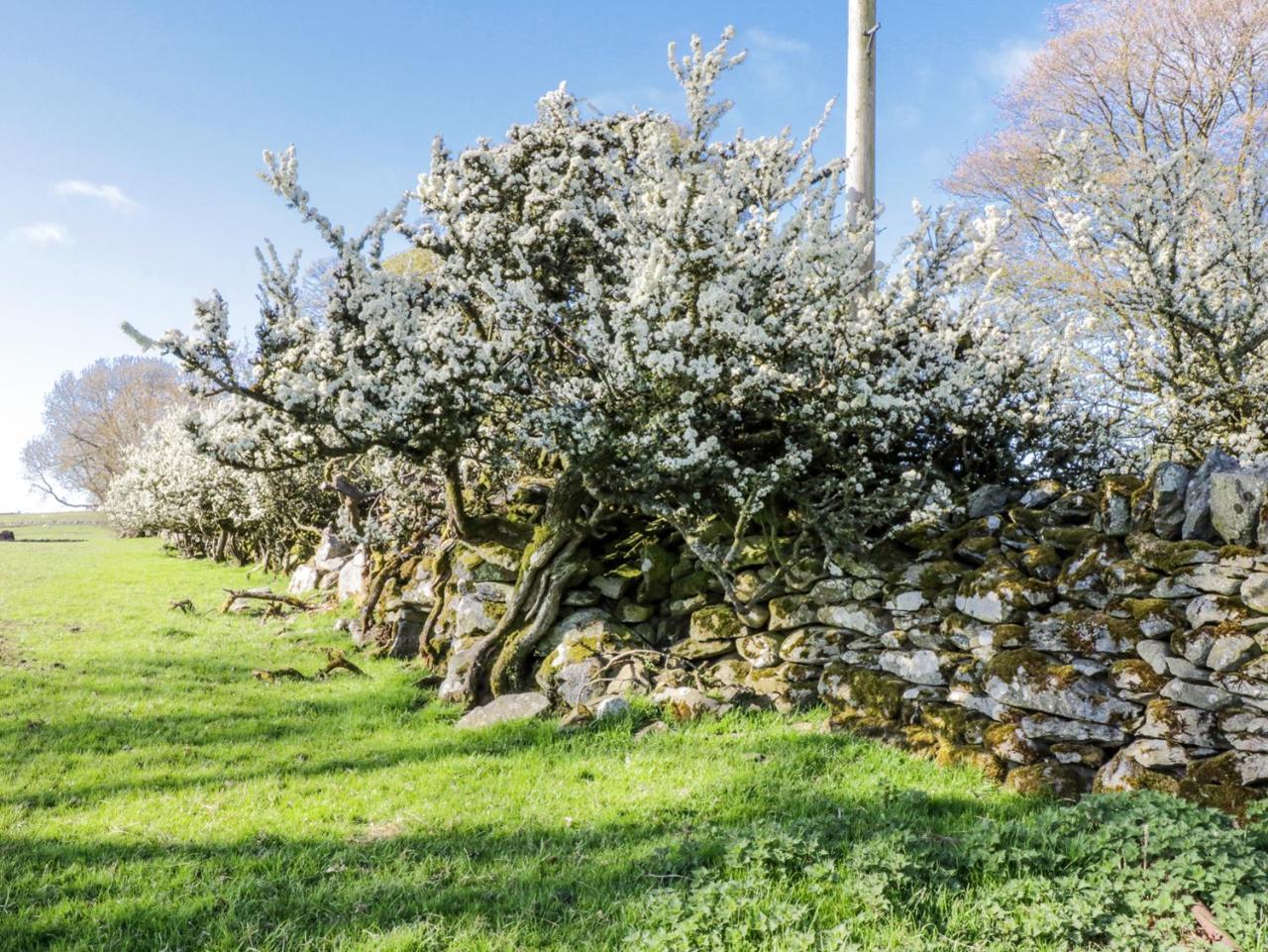 5 Ceirnioge Cottages Betws-y-Coed Luaran gambar
